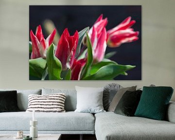 Photo d'un bouquet de fleurs rouges et blanches sur Jolanda de Jong-Jansen