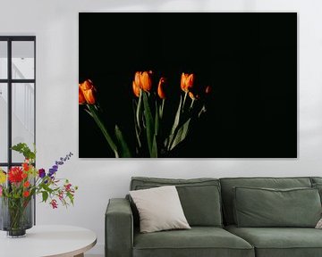 Tulpen van Desiree van den Burg