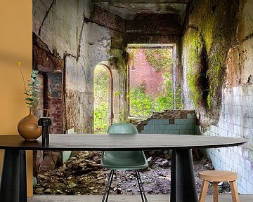 Überwachsener, verlassener Raum. von Roman Robroek – Fotos verlassener Gebäude