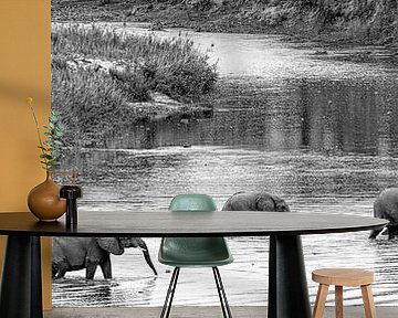 olifanten steken de rivier over in afrika