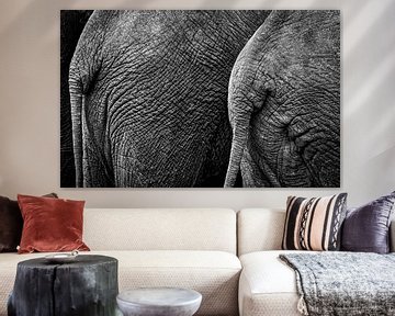 Elefantenhintern in Schwarz-Weiß von Ed Dorrestein