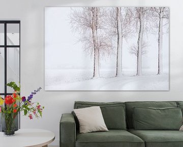 Niederländische Winter Landschaft von Frank Peters