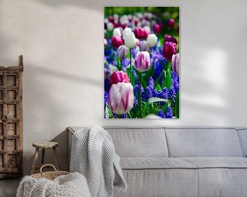 Een prachtig tulpenveld, Paars, roze, wit en groen van WeVaFotografie
