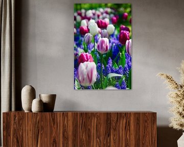 Een prachtig tulpenveld, Paars, roze, wit en groen van WeVaFotografie