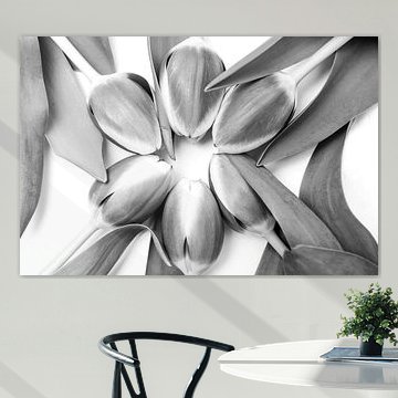 Tulpen in een cirkel, zwart/wit fotografie