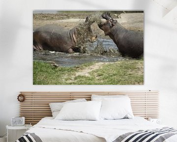 vechtende nijlpaarden van Laurence Van Hoeck