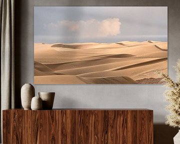 0085 Endless dunes van Adrien Hendrickx