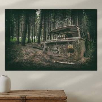 VW in the woods