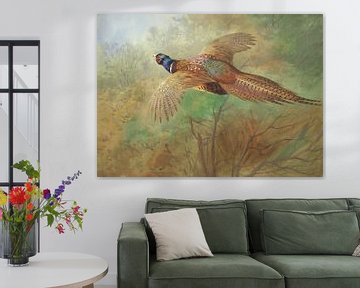 Pheasant in flight, Archibald Thorburn