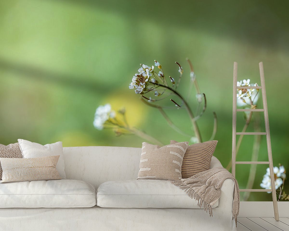 Raumvorschau