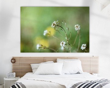 Witte lentebloemen van Martina Weidner