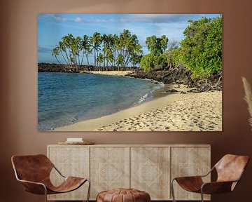 Une plage paradisiaque à Hawaii sur Reis Genie