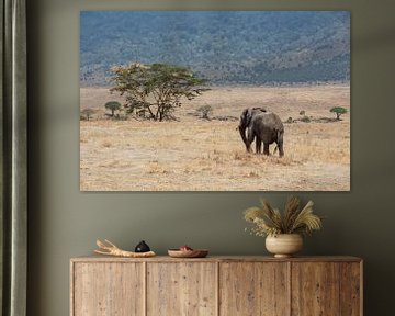 Rondtrekkende olifant in Ngorongoro van Mickéle Godderis