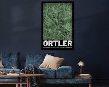 Ortler | Topographie de la carte (Grunge)