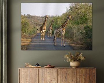 Giraffen op de weg van Reis Genie