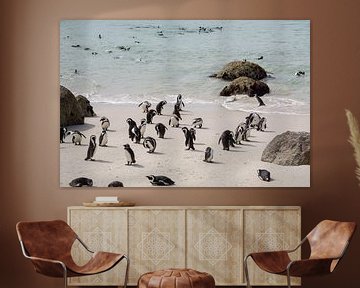 Pingouins sur la plage en Afrique du Sud sur Reis Genie