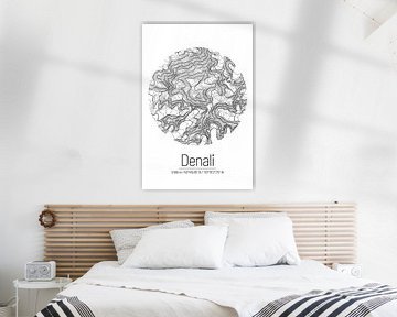 Denali | Landkarte Topografie (Minimal) von ViaMapia