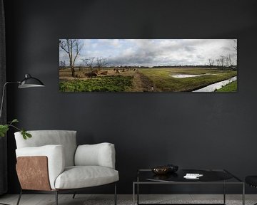 Panorama van grasland and  rietland bij Dwarsgracht Giethoorn Nederland van Leoniek van der Vliet