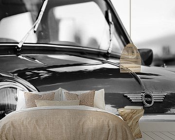 Mini by Pieter Wolthoorn