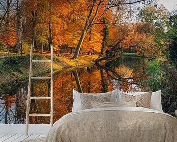 Herfst in Randenbroekerpark Amersfoort. van Karin Riethoven