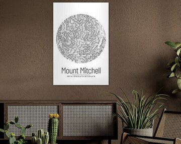 Mount Mitchell | Kaart Topografie (Minimaal)