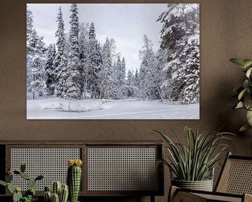Panoramisch winterlandschap, Finland van Rietje Bulthuis