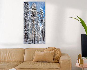Tall trees in Finnish forest by Rietje Bulthuis