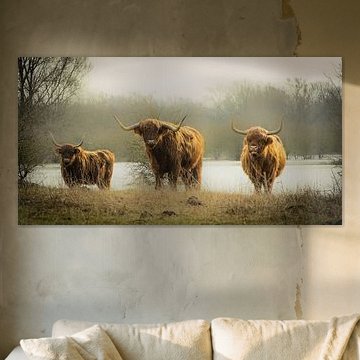 Three Scottish Highlanders by Sonja van Poorten
