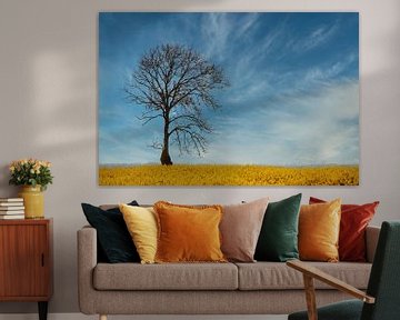 tree in rapeseed field