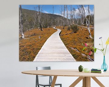 Tasmanian roads by Ryan FKJ