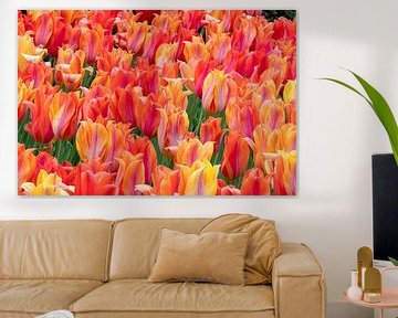 Fiery Tulips by René Roelofsen