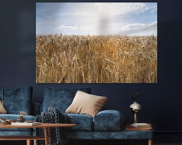 Panorama van een veld met koren in zonnestralen in de oogsttijd van Leoniek van der Vliet