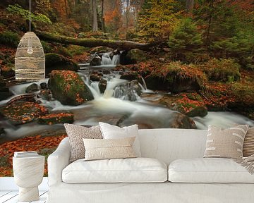 Waterval in de Harz van Heiko Lehmann