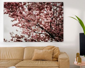 Blossom tree by Anouk Strijbos