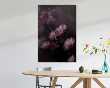 Painting like flower by Anouk Strijbos