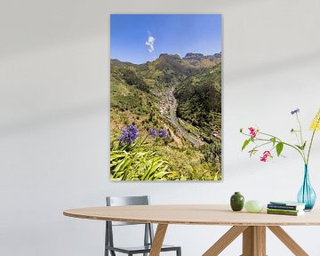 Vallée près de la Serra de Água à Madère sur Werner Dieterich