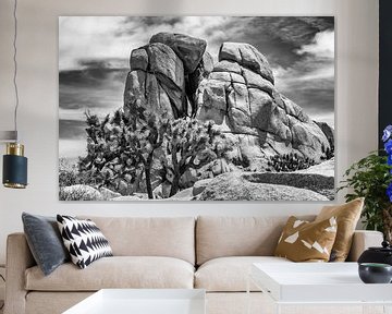 Monzogranite formation in Joshua Tree National Park by Melanie Viola