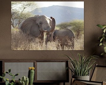 Zwaaiende olifant van Laurence Van Hoeck