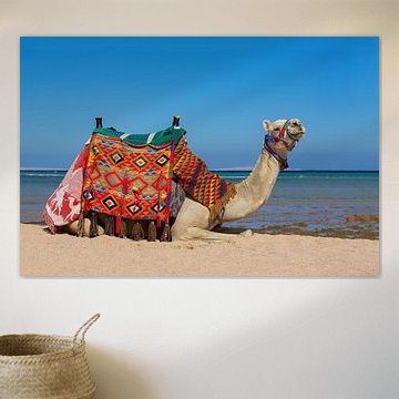 This colorful camel is located on the beach by the sea in Hurghada, Egypt.