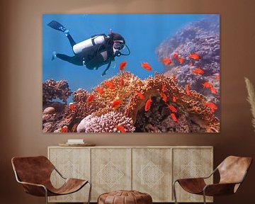 Young Dutch man dives into the sea with coral and orange fish by Ben Schonewille