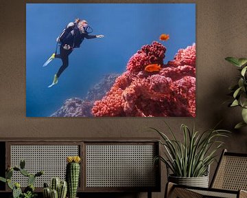 Young Dutch woman dives in blue sea near coral reefs and orange fish by Ben Schonewille