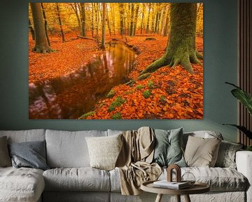 Der Herbst im Leuvenum Wald von Rob Kints