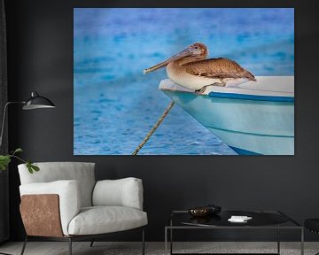 Brauner Pelikan sitzt auf See vor dem Boot von Ben Schonewille