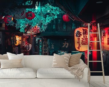 Lane with restaurant and lantern in Tokyo by Mickéle Godderis