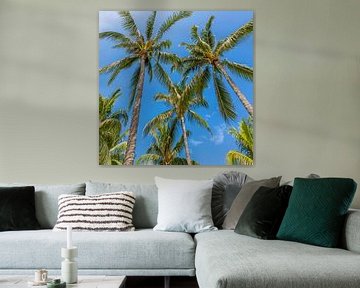 Mooie palmbomen van Melanie Viola