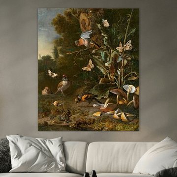 Birds, Butterflies and a Frog among Plants and Fungi, Melchior d'Hondecoeter