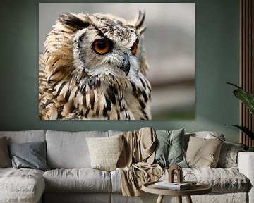 Owl by Eric Sweijen