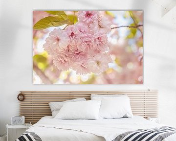 Blossom