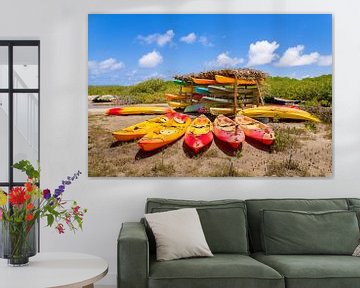 Groupe de kayaks dans la forêt de mangrove sur l'île de Bonaire sur Ben Schonewille