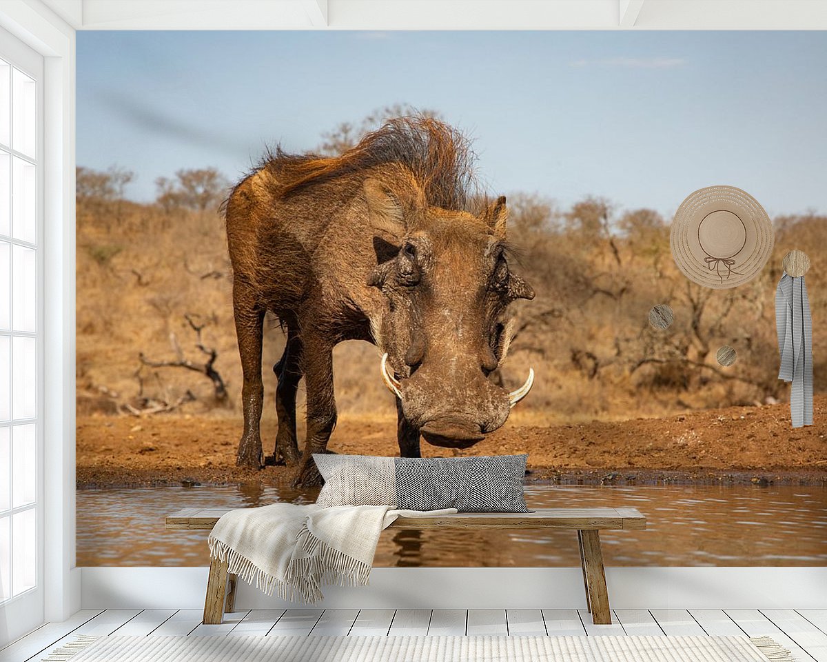 Raumvorschau